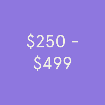 $250 to $499