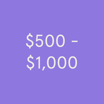 $500 to $1,000