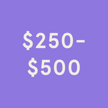 $250 - $500