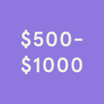 $500 - $1000