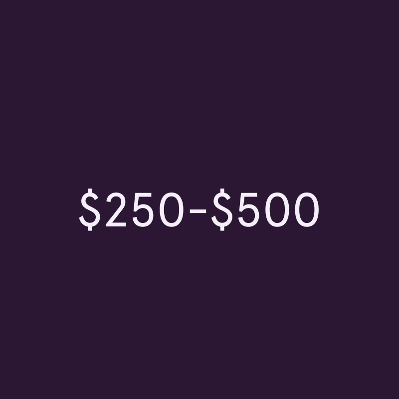 $250 - $500