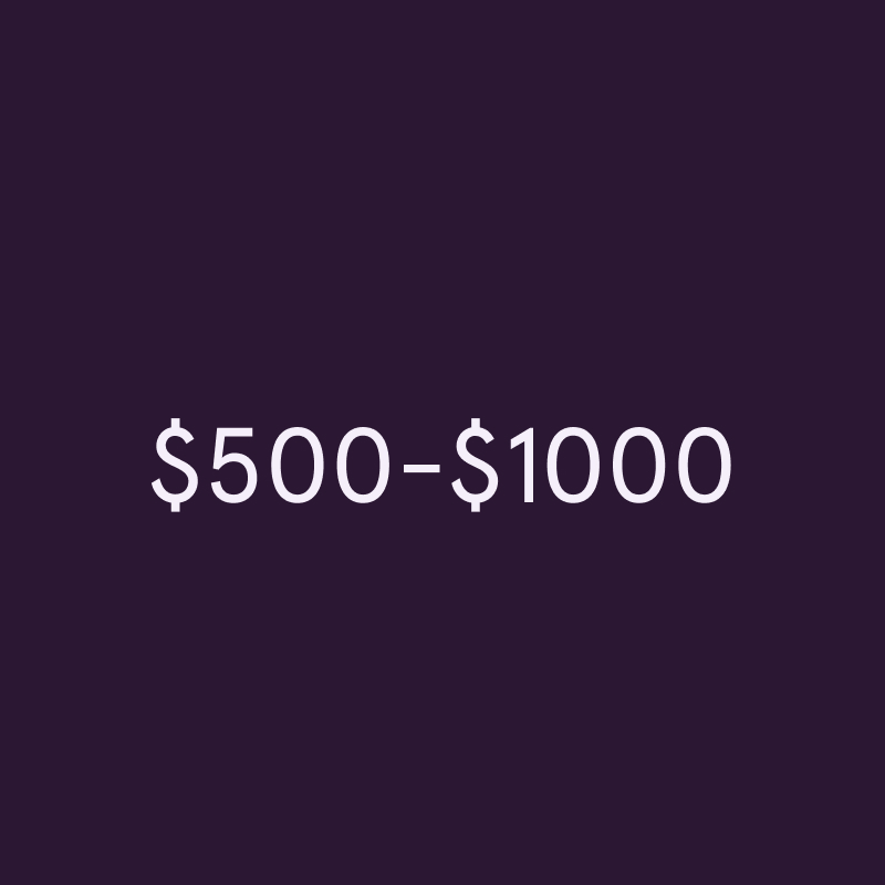 $500 - $1000