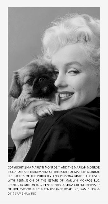 Marilyn Monroe Collection >